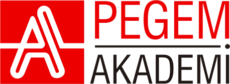 PEGEM AKADEMİ Logo ANKA Fotokopi